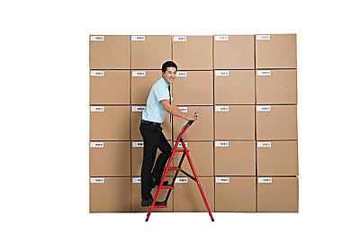 腾讯MMO《塔瑞斯世界》海外社交媒体账号上线 或全球同步推出